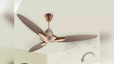 घरात लावा सुंदर, धूळ न जमणारे ceiling fan, पैशांचीही होईल बचत