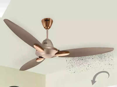 घरात लावा सुंदर, धूळ न जमणारे ceiling fan, पैशांचीही होईल बचत