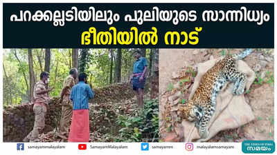 പറക്കല്ലടിയിലും പുലിയുടെ സാന്നിധ്യം  ഭീതിയില്‍ നാട്