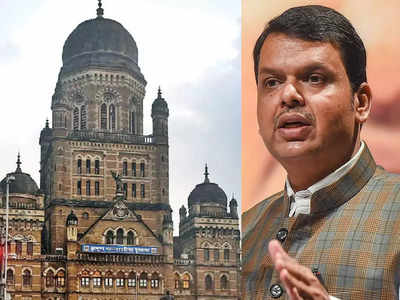 devendra fadnavis: मुंबई महापालिका निवडणुकीत भाजपचा स्वबळाचा नारा?; मनसेशी युती नाही