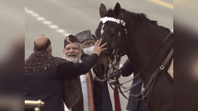 Horse Virat: राष्ट्रपति के अंगरक्षक बेड़े का घोड़ा ‘विराट’ रिटायर, बेहद खास हैं इसकी खूबियां