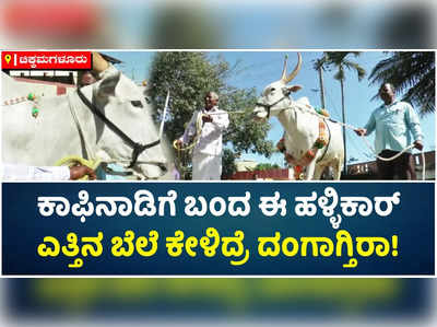 ಚಿಕ್ಕಮಗಳೂರಿಗೆ ಬಂತು ಭಾರೀ ಬೆಲೆಯ ಹಳ್ಳಿಕಾರ್‌ ಎತ್ತು! ಇದರ ರೇಟ್‌ ಕೇಳಿದ್ರೆ ಮೂರ್ಚೆ ಹೋಗೋದು ಗ್ಯಾರಂಟಿ