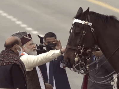 Virat Horse: राष्ट्रपति के अंगरक्षक बेड़े का घोड़ा ‘विराट’ हुआ रिटायर