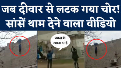 Thief Hanging on Wall Viral Video: जब भागने के चक्कर में दीवार से लटका चोर, सांसें थाम देने वाला वीडियो