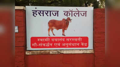 हंसराज कॉलेज में गौशाला बनाने पर शुरू हुआ विवाद, नाराज स्टूडेंट्स बोले गर्ल्स हॉस्टल की जगह पर बना दी गौशाला