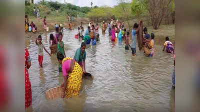 கெளுத்தி டூ கட்லா: சிவகங்கையில் மீன்பிடித் திருவிழா!