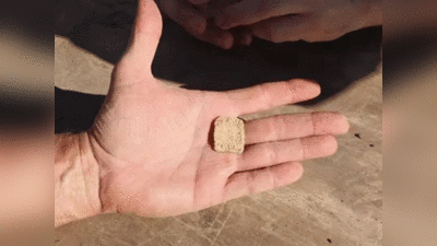 Amulet Discovery: इजरायल में खोजा गया 3300 साल पुराना यहूदी ताबीज, बैल के सिर की दिखी तस्‍वीर!
