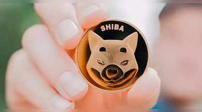 ક્રિપ્ટોકરન્સી: Dogecoin કિલર Shiba Inuના સુવર્ણ દિવસો હવે પૂરા થઈ ગયા?