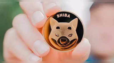 ક્રિપ્ટોકરન્સી: Dogecoin કિલર Shiba Inuના સુવર્ણ દિવસો હવે પૂરા થઈ ગયા? 