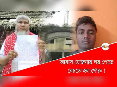 আবাস যোজনায় ঘর পেতে বেচতে হল গরু!