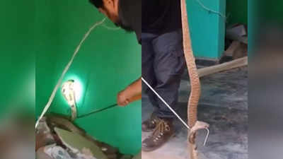 Cobra सांप को रेस्क्यू कर रहा था शख्स, उसने कर दिया अटैक, फिर...