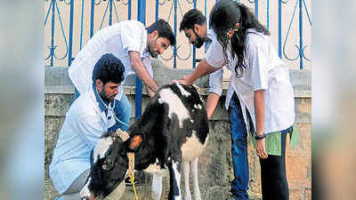 400 ಪಶುವೈದ್ಯರ ನೇಮಕಾತಿಗೆ ಸಿಕ್ತು ಹಸಿರು ನಿಶಾನೆ