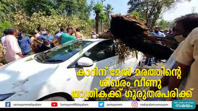 ഓ​ടി​ക്കൊ​ണ്ടി​രു​ന്ന കാ​റി​ന് മേൽ മ​ര​ത്തി​ന്‍റെ ശിഖരം വീണു