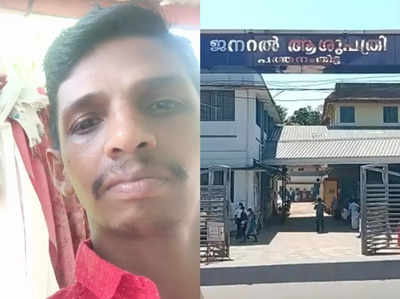 കോന്നിയിൽ കടന്നലുകളുടെ ആക്രമണം; ടാപ്പിങ് തൊഴിലാളിക്ക് ദാരുണാന്ത്യം! 4 പേര്‍ക്ക് പരിക്ക്, വീഡിയോ കാണാം