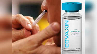 भारत बायोटेक को इंट्रानेजल कोविड वैक्सीन की दिशा में एक और कामयाबी, बूस्टर खुराक के रूप में कर सकेगी टेस्टिंग