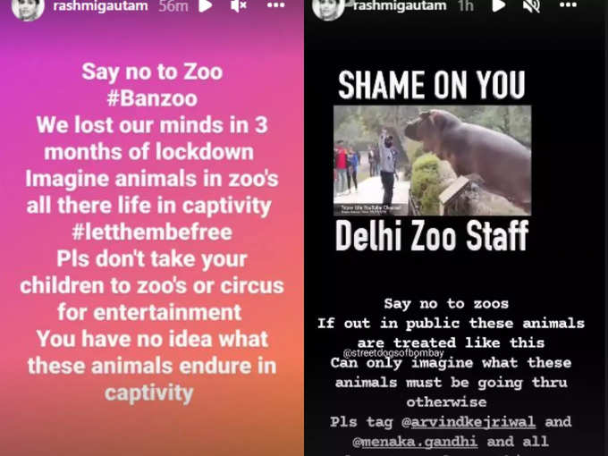 Rashmi Gautam Zoo