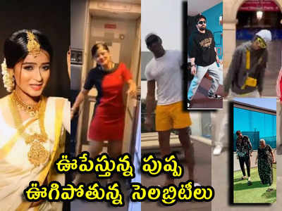 viral videos: ఊపేస్తున్న పుష్ప.. ఊగిపోతున్న సెలబ్రిటీలు