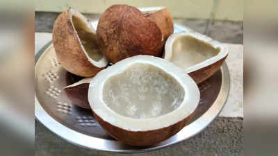 Coconut before sleep: सोने से पहले जरूर खा लें सूखे नारियल का 1 टुकड़ा, मिलेंगे इतने फायदे कि बच जाएगी डॉक्‍टर की फीस
