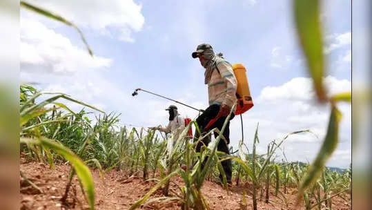 Dharmaj Crop Guard IPO :  நிறுவனம் ரூ. 300 கோடி திரட்ட செபியிடம் ஆவணங்களை தாக்கல் செய்தது...