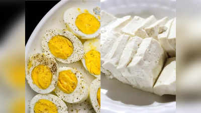 Weight Loss Tips: अंडा या पनीर? मोटापा घटाने के लिए किसमें होता है सबसे ज्‍यादा Protein