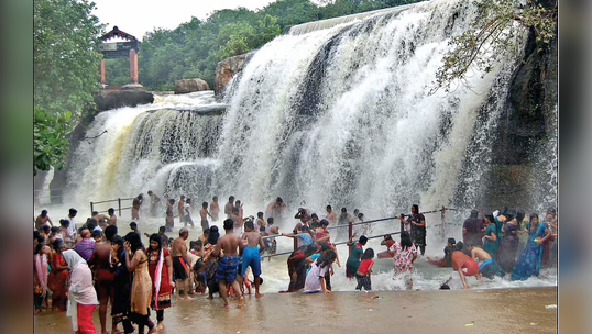 திற்பரப்பு அருவியின் கோலம்; சுற்றுலாப் பயணிகள் ஆச்சரியம்!