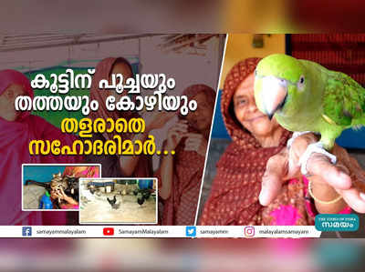 കൂട്ടിന് പൂച്ചയും തത്തയും കോഴിയും; തളരാതെ സഹോദരിമാര്‍