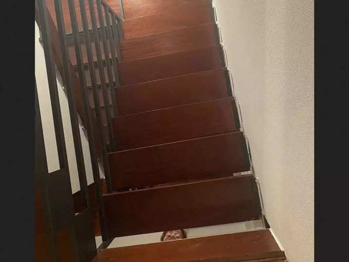 इस सीढ़ी में किसी को गड़बड़ दिखी?
