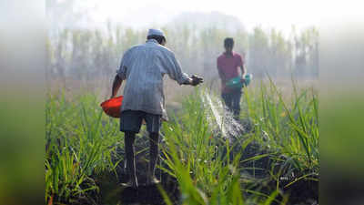 Union Budget 2022: दिल्ली में खेती करना इंडस्ट्रियल एरिया में मैन्युफैक्चरिंग करने जैसा... बजट के ठीक पहले किसानों का छलका दर्द