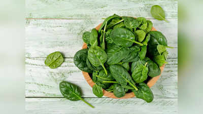Spinach: ചീര ആരോഗ്യകരമാണ്; എന്നാൽ അമിതമായാൽ അപകടം