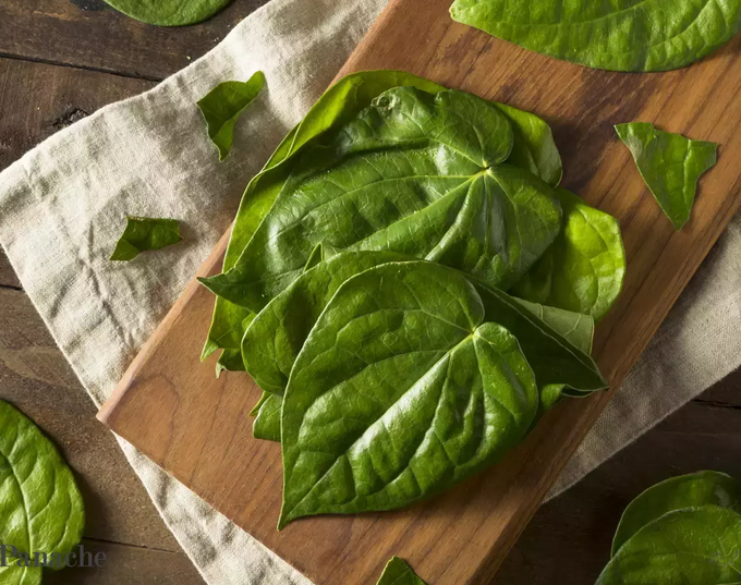 Betel Leaves