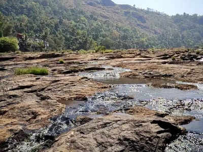 വരള്‍ച്ചയിലേക്ക് ഒഴുകി പെരിയാര്‍; കുടിവെള്ള പ്രതിസന്ധിയും, വീഡിയോ