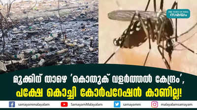 മൂക്കിന് താഴെ കൊതുക് വളർത്തൽ കേന്ദ്രം, പക്ഷേ കൊച്ചി കോർപറേഷൻ കാണില്ല!