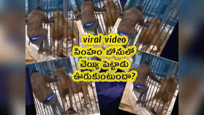 viral video: సింహం బోనులో చెయ్యి పెట్టాడు.. ఊరుకుంటుందా?