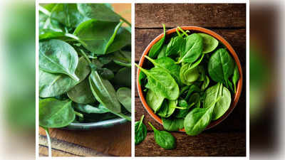 Spinach For Immunity: 5 तरीकों से खाएंगे पालक तो नहीं होगा कोई नुकसान, इम्यूनिटी होगी मजबूत, बढ़ेगा खून