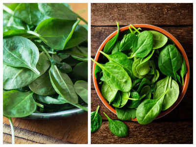 Spinach For Immunity: 5 तरीकों से खाएंगे पालक तो नहीं होगा कोई नुकसान, इम्यूनिटी होगी मजबूत, बढ़ेगा खून