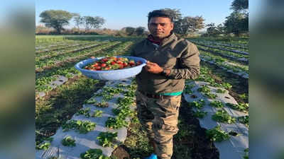 Success Story: कोरोना काल में कोचिंग छोड़ शुरू की स्ट्रॉबेरी की खेती, रूरल टूरिज्म में भी आजमा रहे हाथ, इलाके के किसानों के लिए रोल मॉडल बने अनिरुद्ध