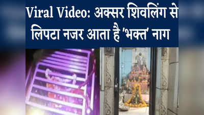 Chhatarpur Video: भगवान शिव का भक्त नाग, अक्सर शिवलिंग से लिपटा आता है नजर