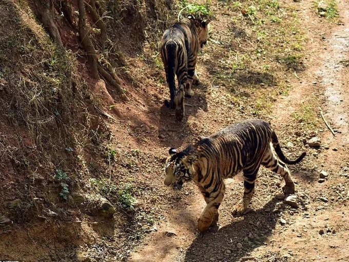 जब कैमरे में कैद किया ये लम्हा