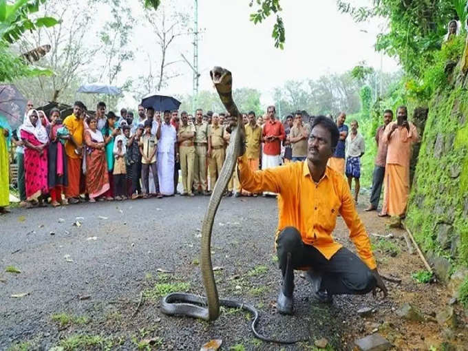 सोमवार की शाम कोबरा ने काट लिया था