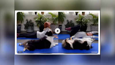 Video: या कुत्र्याची बातच न्यारी! पाहा कसा मालकिणीलाच शिकवतोय योगा