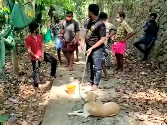 ​സമൂഹമാധ്യമങ്ങളിൽ വീഡിയോ വൈറൽ