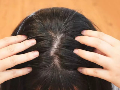 Homemade Oil For Grey Hair: इन 4 चीजों को तेल में मिलाकर करेंगी चंपी तो सफेद बालों की हो जाएगी छुट्टी, जरूर करें ट्राई