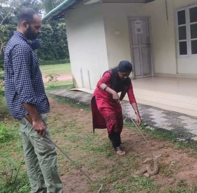Snake Catcher Woman Remya Kerala