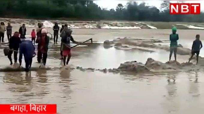 Bagaha News : बिहार में शादी में जा रही कार डूब गई नदी में, वीडियो देख कांप जाएंगे