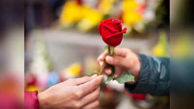 Rose Day: ഇന്ന് റോസ് ഡേ, പ്രണയം ചെഞ്ചുവപ്പണിയട്ടെ! ആശംസകൾ നേരാം