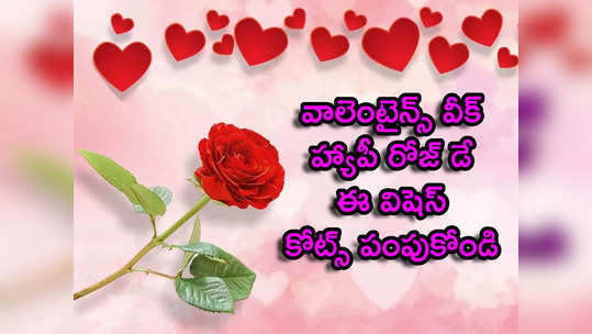 Rose Day 2022: వాలెంటైన్స్ వీక్.. తొలిరోజు ఈ విషెస్, కోట్స్ పంపుకోండి 