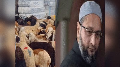 Owaisi news: हैदराबाद में कारोबारी ने ओवैसी की लंबी उम्र के लिए दी 101 बकरों की कुर्बानी