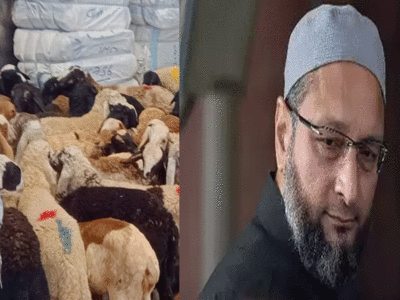 Owaisi news: हैदराबाद में कारोबारी ने ओवैसी की लंबी उम्र के लिए दी 101 बकरों की कुर्बानी