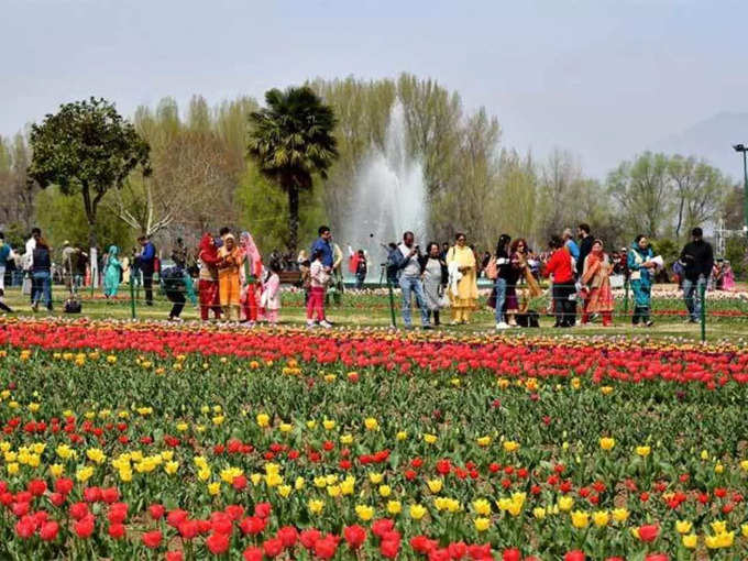 ट्यूलिप गार्डन, श्रीनगर - Tulip Garden, Srinagar