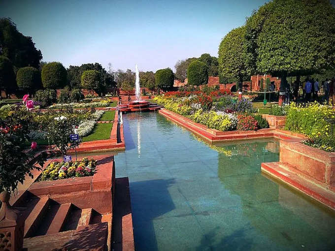 मुगल गार्डन, दिल्ली - Mughal Garden, Delhi